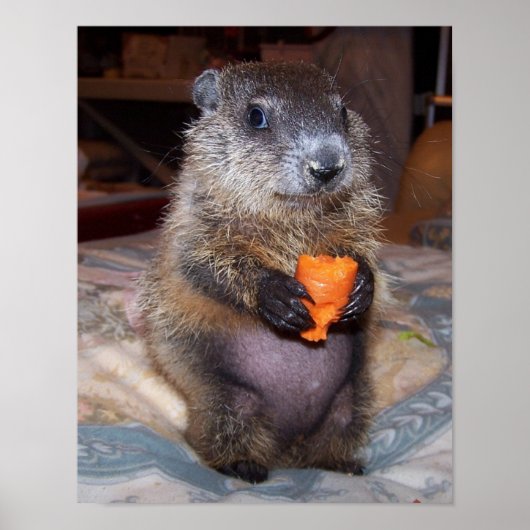 Maude Poster 1 (Voorkant)