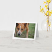 Maudie de Kaart van de Nota van de Hond van de Koe (Gele Bloem)