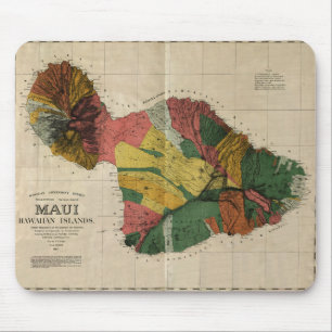 Maui -  Antiquarian Hawaii Survey Map, 1885 Muismat