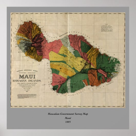 Maui -  Antiquarian Hawaii Survey Map, 1885 Poster (Voorkant)