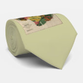 Maui -  Antiquarian Hawaii Survey Map, 1885 Stropdas (Opgerold)