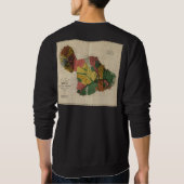 Maui -  Antiquarian Hawaii Survey Map, 1885 Trui (Achterkant)