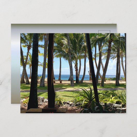 Maui Beach Hawaii Palm Trees Briefkaart (Voorkant / Achterkant)