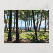 Maui Beach Hawaii Palm Trees Briefkaart (Voorkant)
