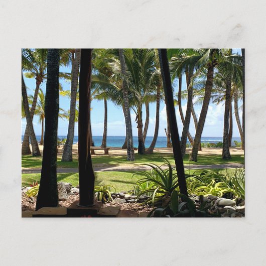 Maui Beach Hawaii Palm Trees Briefkaart (Voorkant)