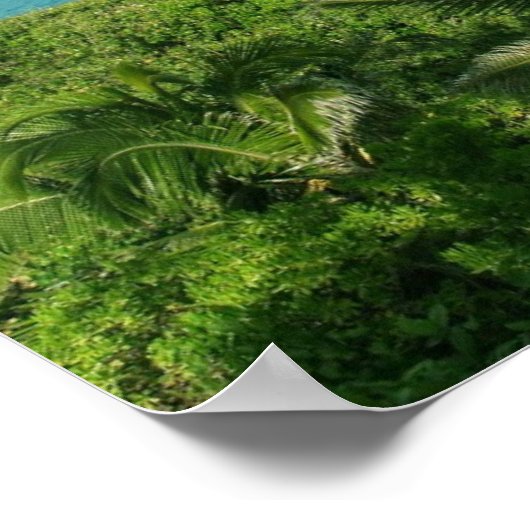 Maui Beach Poster (Hoek)