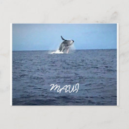 Maui Briefkaart