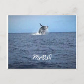 Maui Briefkaart (Voorkant)