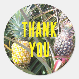 Maui Hawaï Ananas Dank Je Ronde Sticker