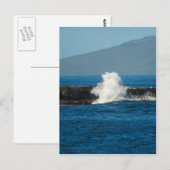 Maui Hawaii Beach 2014 Briefkaart (Voorkant / Achterkant)