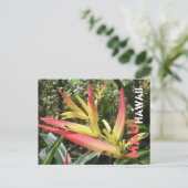 Maui Hawaii briefkaart (Staand voorkant)