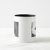 Maui, Hawaii - De naald van de Iao-vallei Mok (Midden)