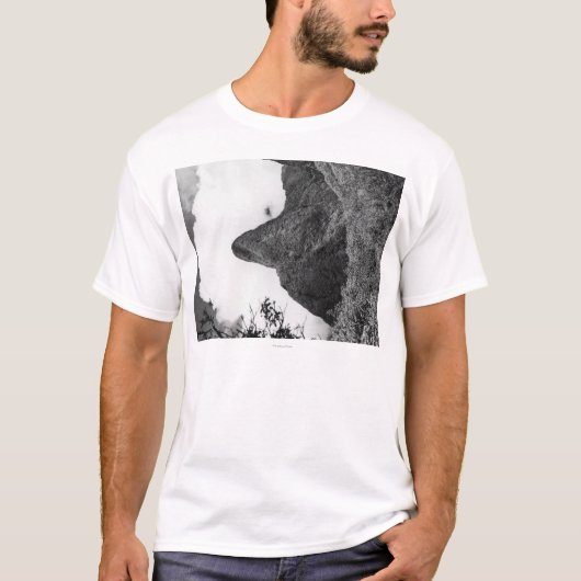 Maui, Hawaii - De naald van de Iao-vallei T-shirt (Voorkant)