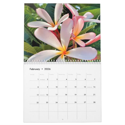 Maui Hawaii Kalender (Feb 2026)