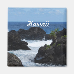 Maui Hawaii Magneet
