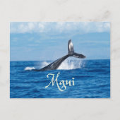 Maui Hawaii Ocean Whale Tail Briefkaart (Voorkant)