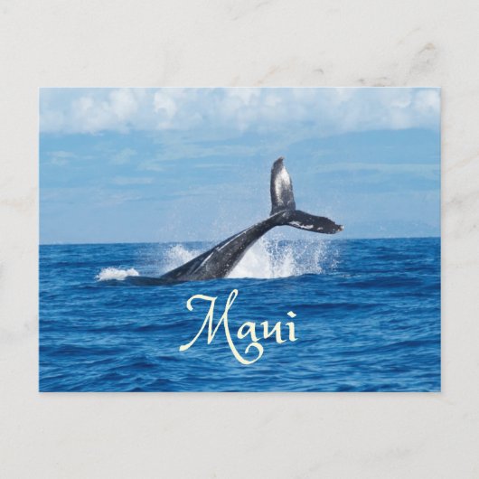 Maui Hawaii Ocean Whale Tail Briefkaart (Voorkant)