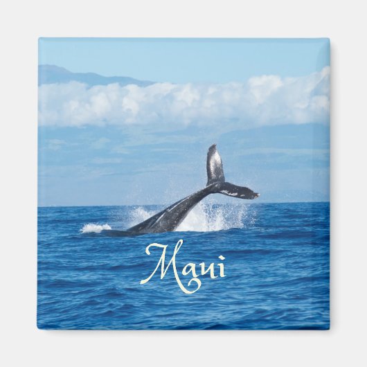 Maui Hawaii Ocean Whale Tail Magneet (Voorkant)