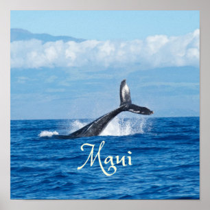 Maui Hawaii Ocean Whale Tail Poster