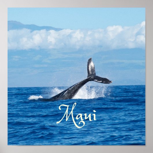 Maui Hawaii Ocean Whale Tail Poster (Voorkant)