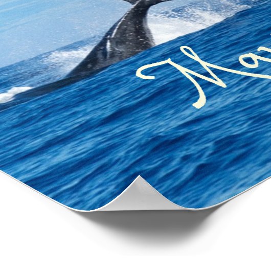 Maui Hawaii Ocean Whale Tail Poster (Hoek)