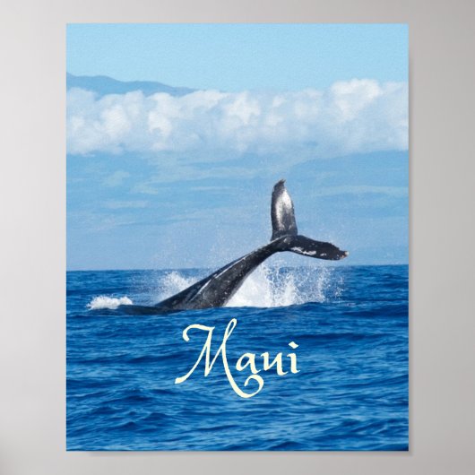 Maui Hawaii Ocean Whale Tail Poster (Voorkant)