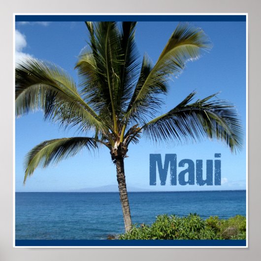 Maui Hawaii Poster (Voorkant)