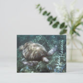 Maui Hawaii zee schildpad briefkaart (Staand voorkant)