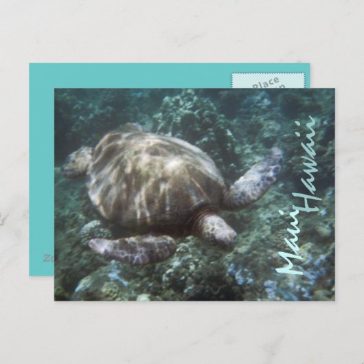 Maui Hawaii zee schildpad briefkaart (Voorkant / Achterkant)