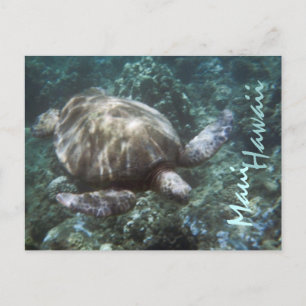 Maui Hawaii zee schildpad briefkaart