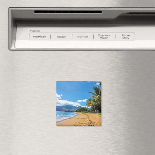 Maui, het Valley Isle, Hawaii Magneet (Insitu (Vaatwasser))