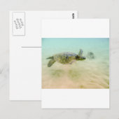 Maui Hi Beach Turtle 2014 Briefkaart (Voorkant / Achterkant)