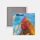 Maui-kipmagneet Magneet (Voorkant / Achterkant)
