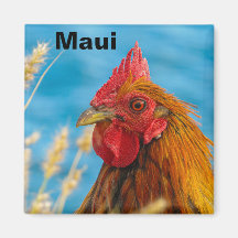 Maui-kipmagneet