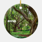 Maui Landschap Keramisch Ornament (Achterkant)