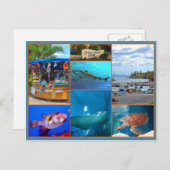 Maui Ocean Center Briefkaart (Voorkant / Achterkant)