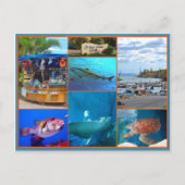 Maui Ocean Center Briefkaart (Voorkant)