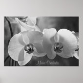 Maui Orchids Poster (Voorkant)
