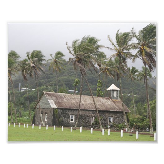 Maui, oude kerk, met de wind geblazen palmbomen foto afdruk (Voorkant)