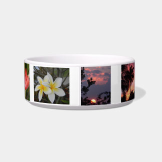 Maui Pet Bowl Voerbakje