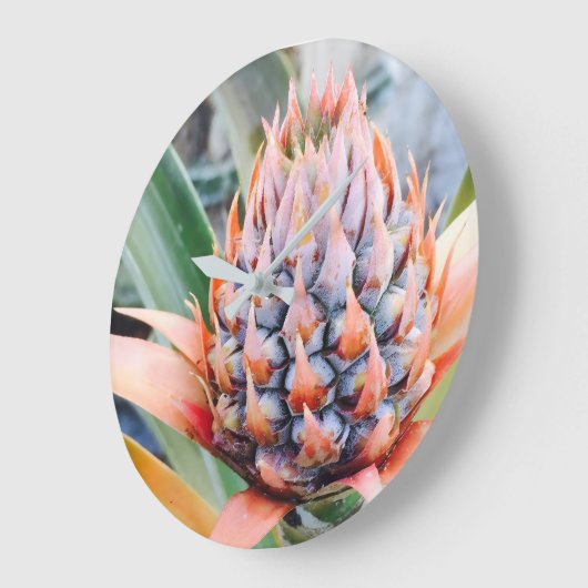 Maui Pineapple Hawaii Grote Klok (Hoek)