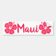Maui Pink Hibiscus