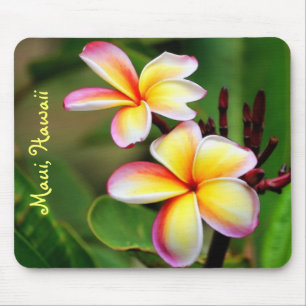 Maui Plumeria Flowers Mousepad Muismat