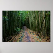 Maui Poster (Voorkant)