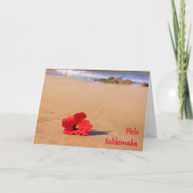 Maui Red Hibiscus op het kerststrand