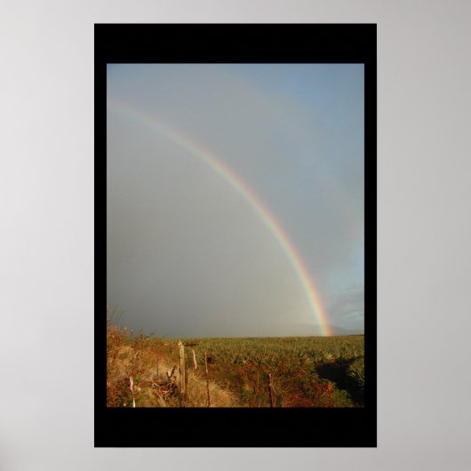 maui-regenboog poster (Voorkant)