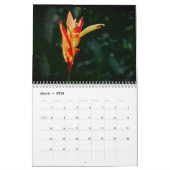Maui schoonheden kalender (Mar 2026)