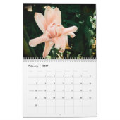 Maui schoonheden kalender (Feb 2027)