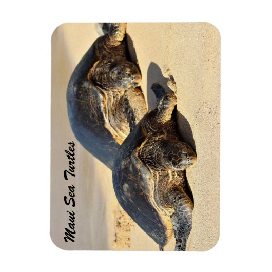 Maui Sea Turtles Magneet (Verticaal)