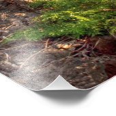 Maui shoreline foto afdruk (Hoek)